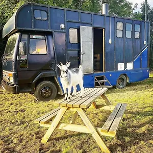 north-yorkshire-horse-box.yorkshirehotels.net/